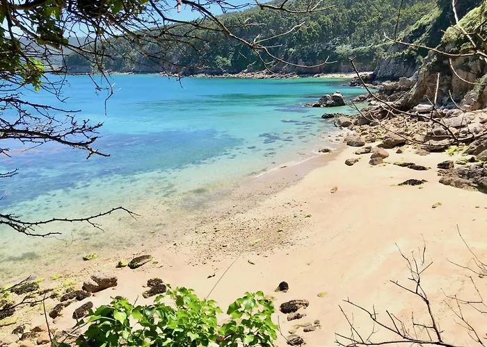 The Cliffs - Vivemare Viveiro