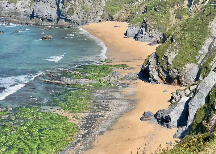 The Cliffs - Vivemare Daire Viveiro